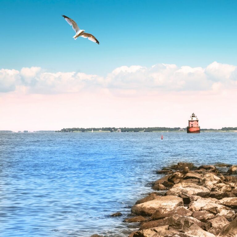 Tilghman Island Maryland: Best Things To Do 2024