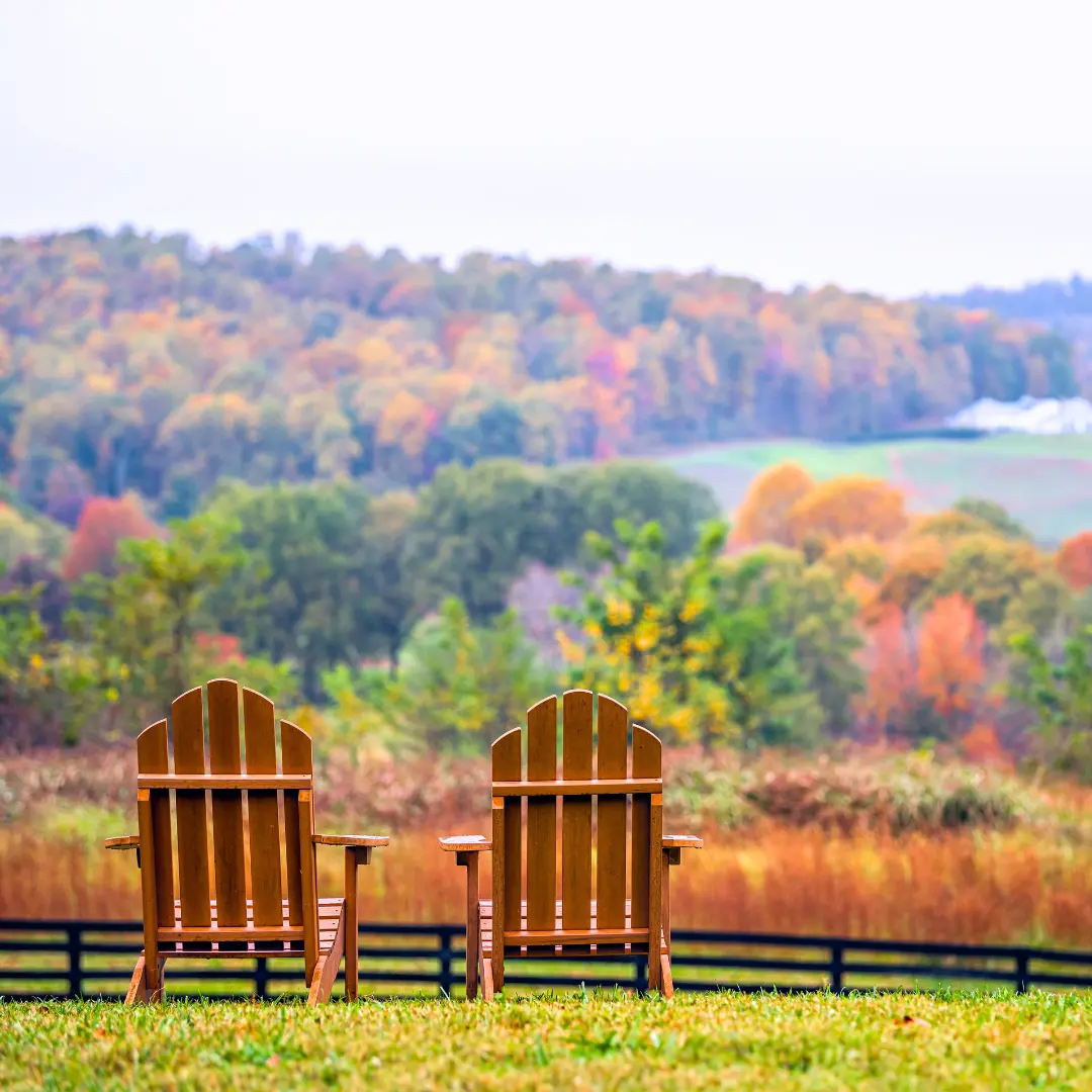 Wineries near charlottesville va