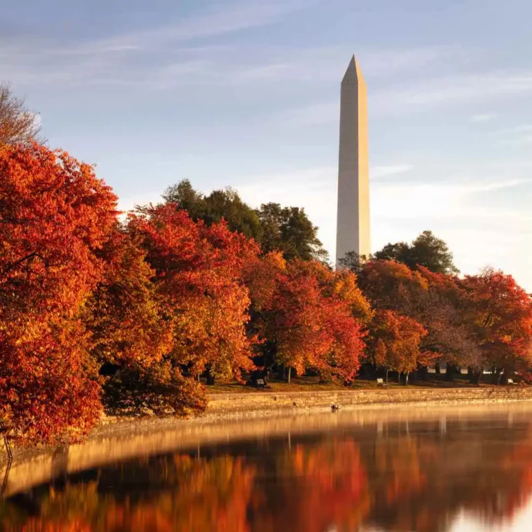 Washington DC In September 2024: Best Things To Do