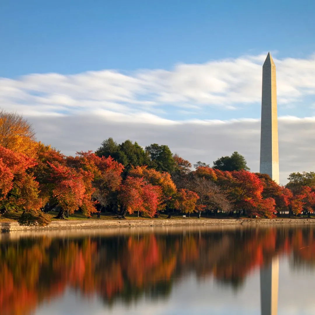 Washington DC in October